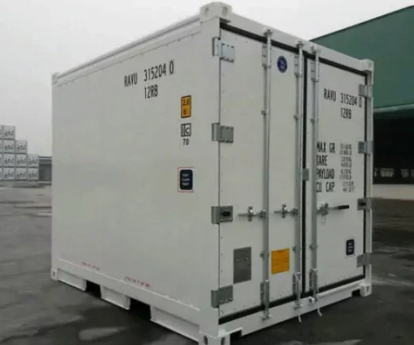 Contenitore Frigorifero da 10 Piedi – Compatto, Refrigerato